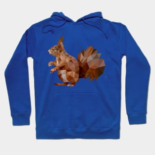 Squirrel Hoodie